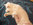 L-Wurf von den Norwegischen Waldkatzen von Ruwenda